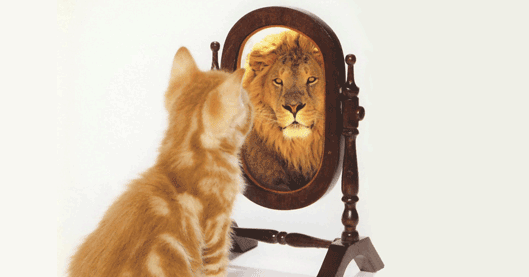 The Secrets of Self-Esteem